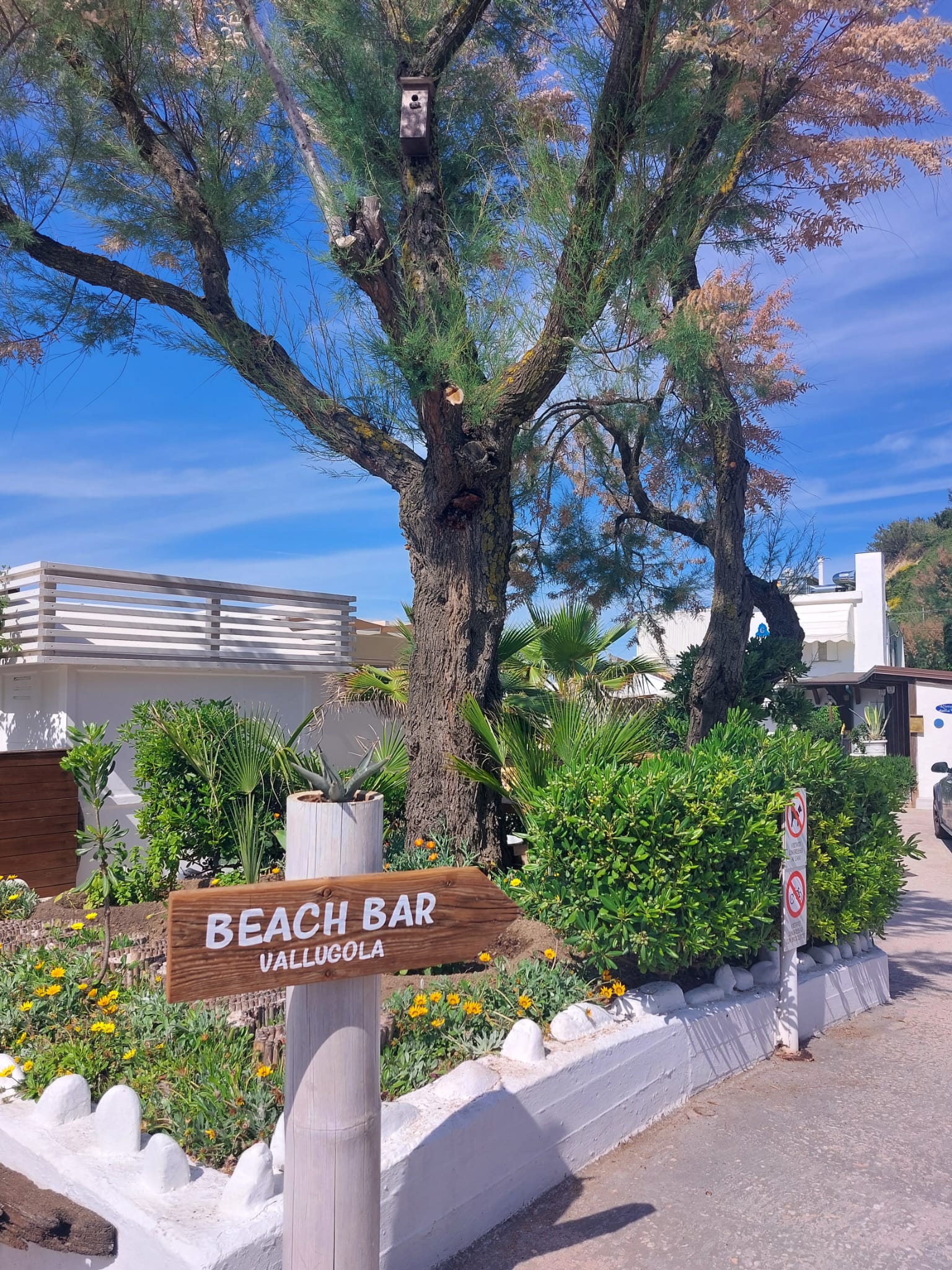 Baia Vallugola Spiaggia